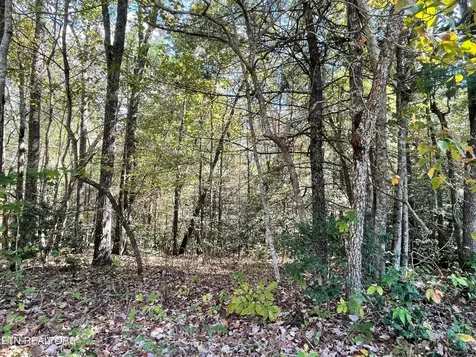 130 Stillington Loop Crossville TN 38558