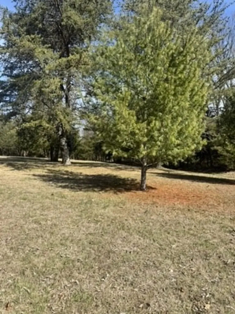 6790 Flat Creek Road College Grove TN 37046