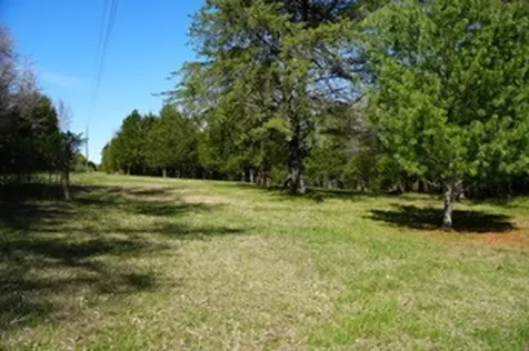 6790 Flat Creek Road College Grove TN 37046