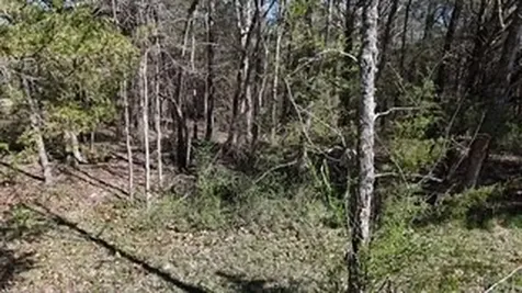 6790 Flat Creek Road College Grove TN 37046