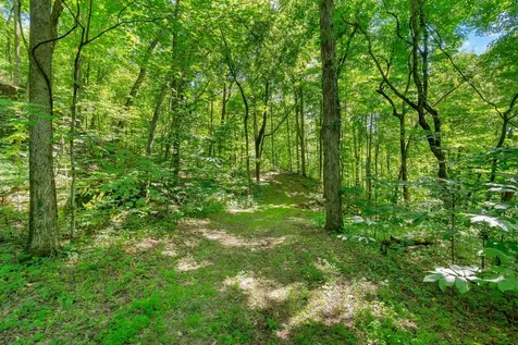 0 Wolf Hill Road Bethpage TN 37022