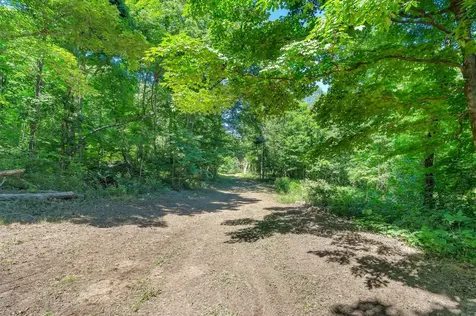 0 Wolf Hill Road Bethpage TN 37022