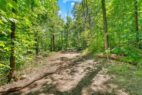 0 Wolf Hill Road Bethpage TN 37022