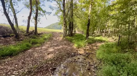 6285 Rayburn Creek Road Collinwood TN 38450
