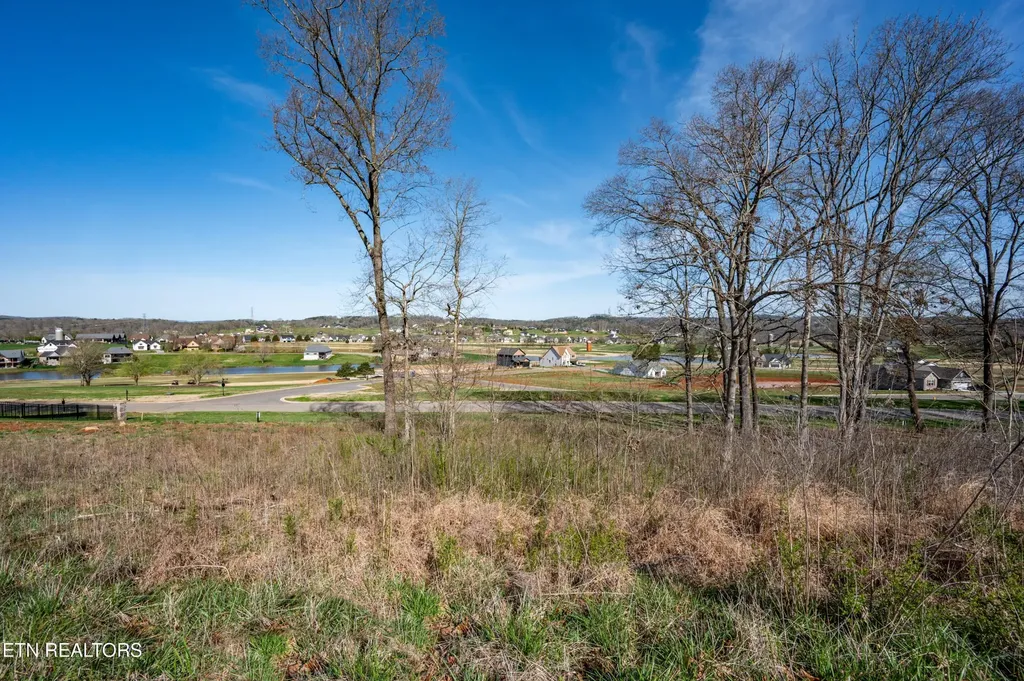 967 Black Cove Lane Loudon TN 37774