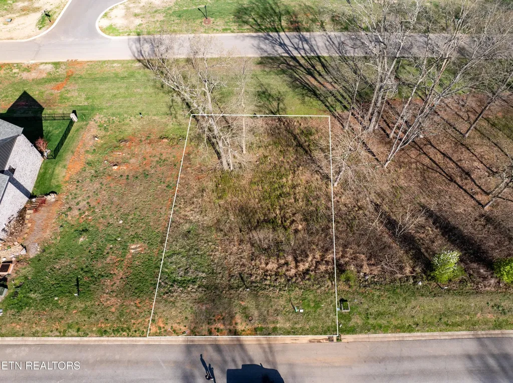 967 Black Cove Lane Loudon TN 37774