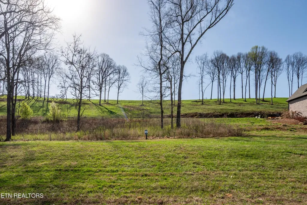 967 Black Cove Lane Loudon TN 37774