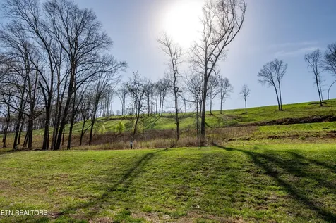 967 Black Cove Lane Loudon TN 37774
