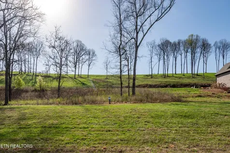 967 Black Cove Lane Loudon TN 37774