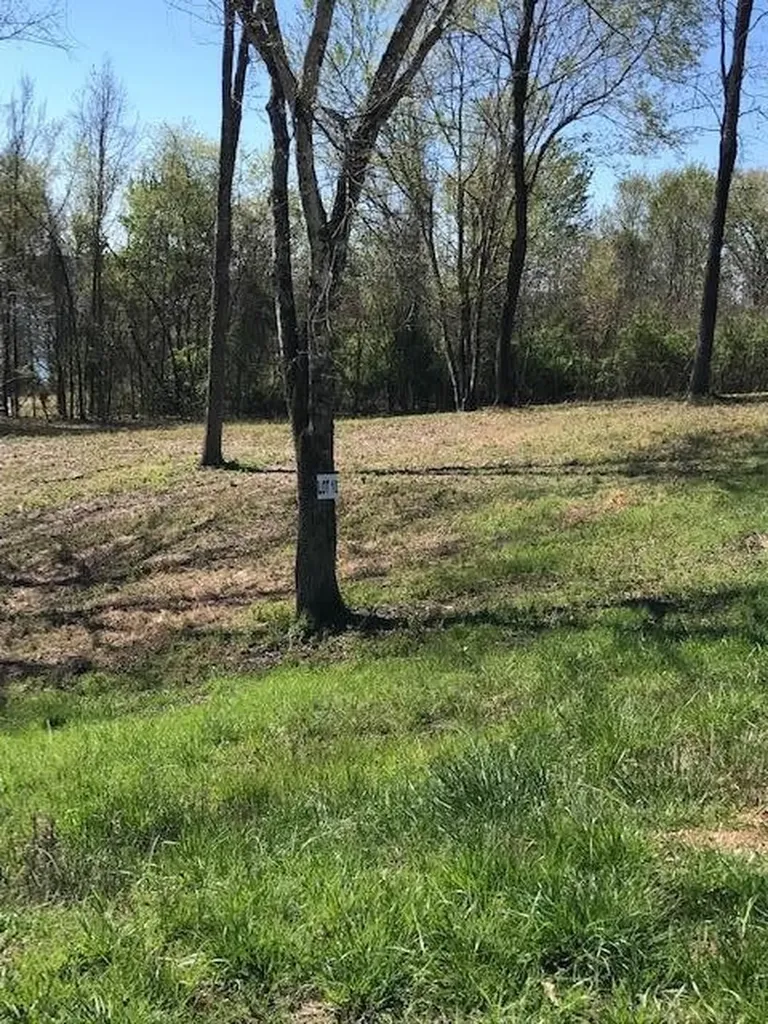 10 Piney View Drive Spring City TN 37381
