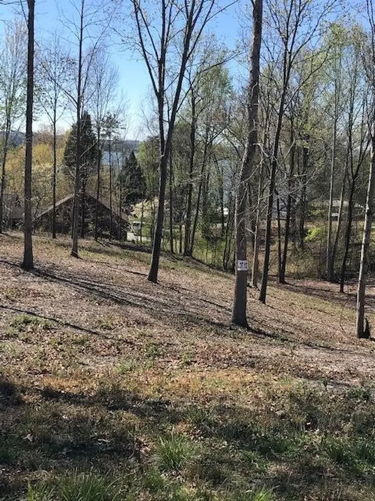 12 Piney View Drive Spring City TN 37381