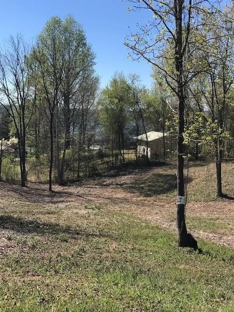 11 Piney View Drive Spring City TN 37381
