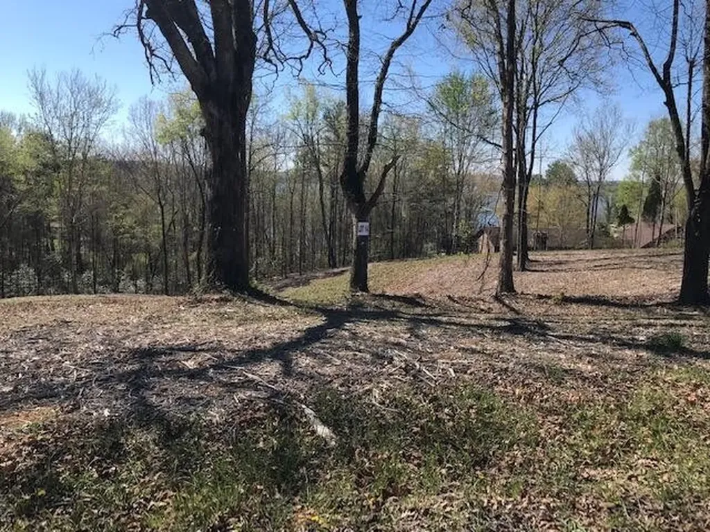14 Piney View Drive Spring City TN 37381