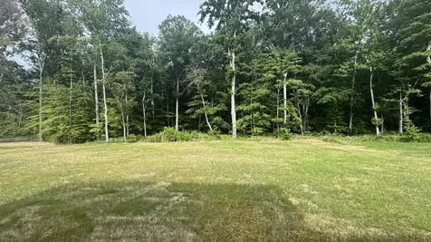 8663 Turnbull Drive Pleasant View TN 37146