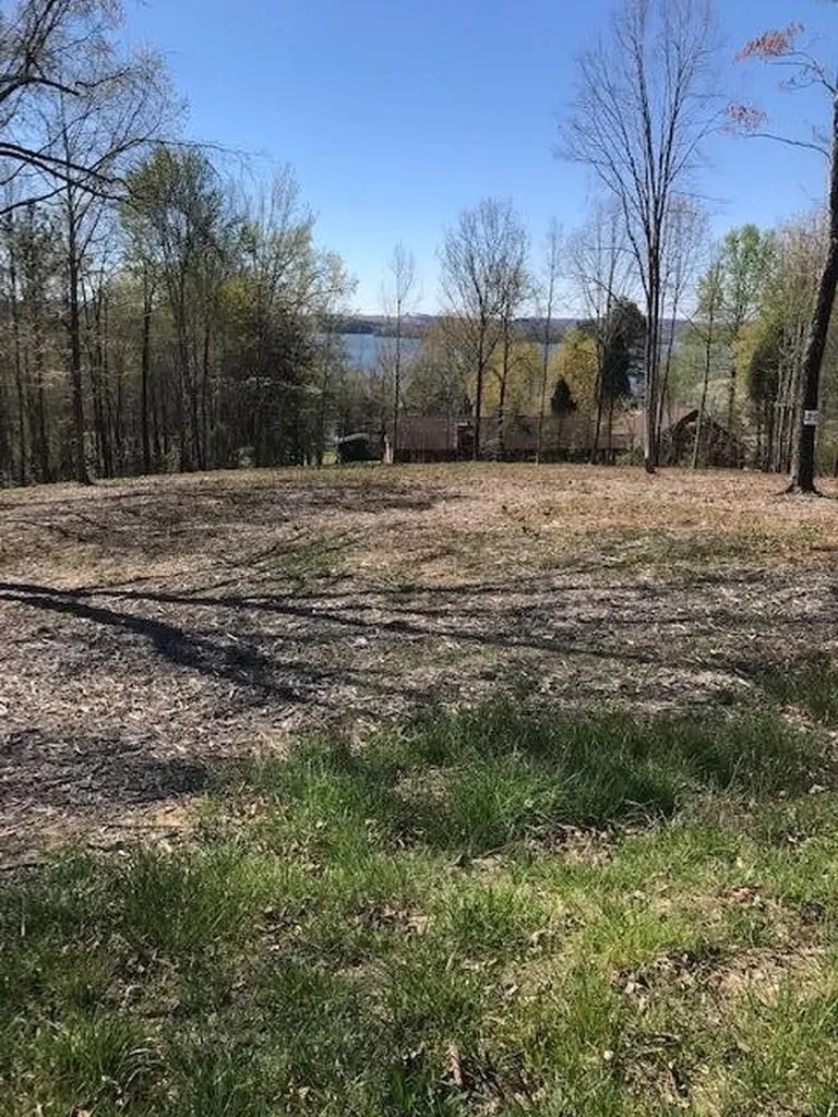 13 Piney View Drive Spring City TN 37381