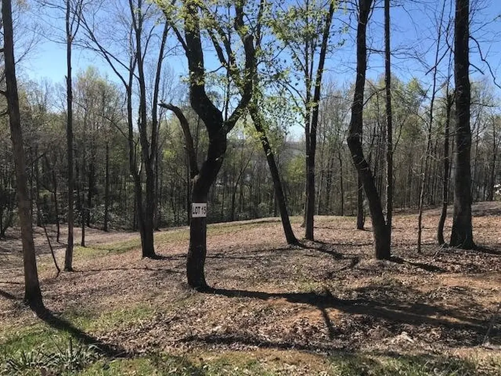 15 Piney View Drive Spring City TN 37381