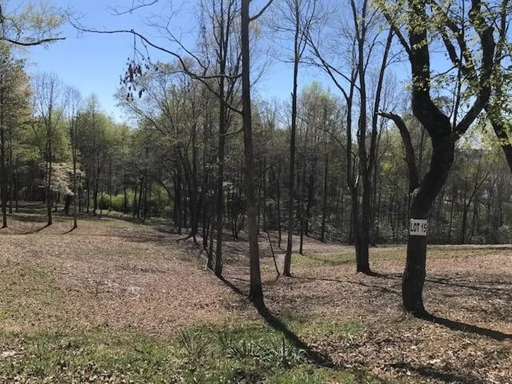 15 Piney View Drive Spring City TN 37381