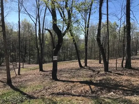 15 Piney View Drive Spring City TN 37381