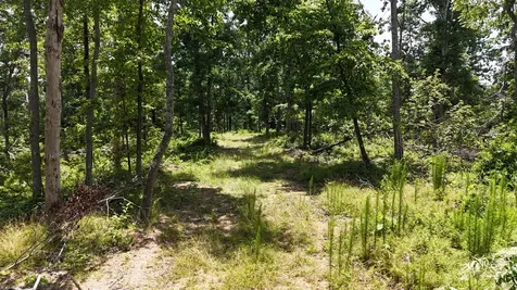 0 Wedgewood Drive Linden TN 37096
