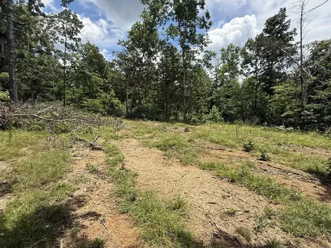 0 Wedgewood Drive Linden TN 37096