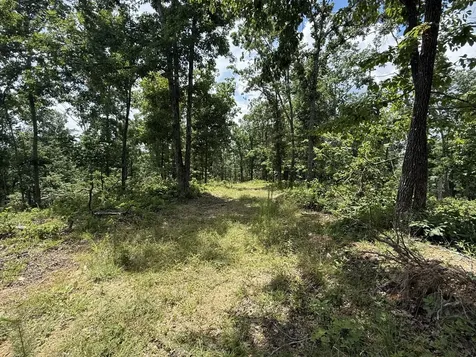 0 Wedgewood Drive Linden TN 37096