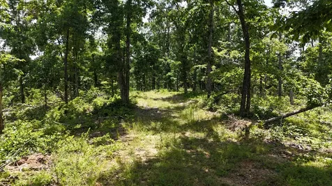 0 Wedgewood Drive Linden TN 37096