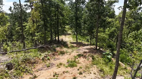 0 Wedgewood Drive Linden TN 37096