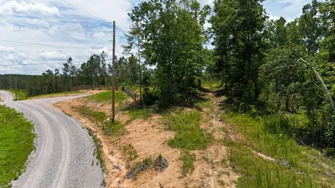 0 Wedgewood Drive Linden TN 37096