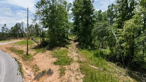 0 Wedgewood Drive Linden TN 37096