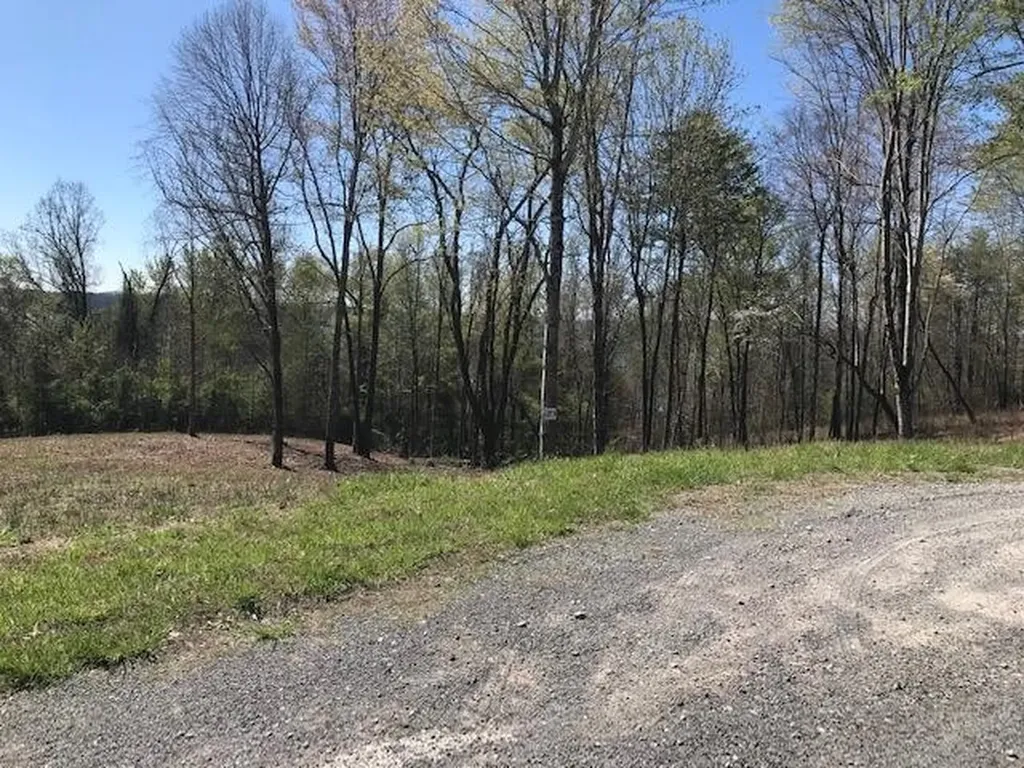 9 Piney View Drive Spring City TN 37381