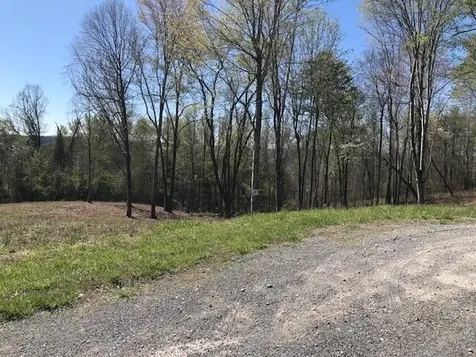 9 Piney View Drive Spring City TN 37381