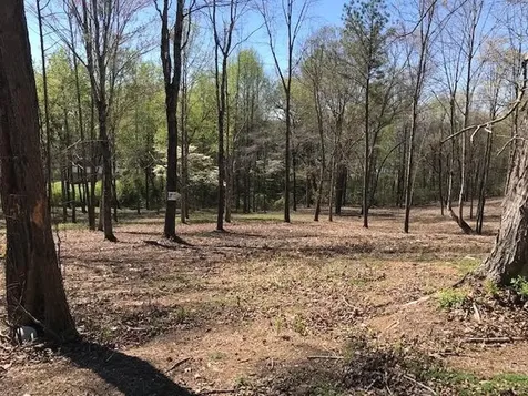 17 Piney View Drive Spring City TN 37381