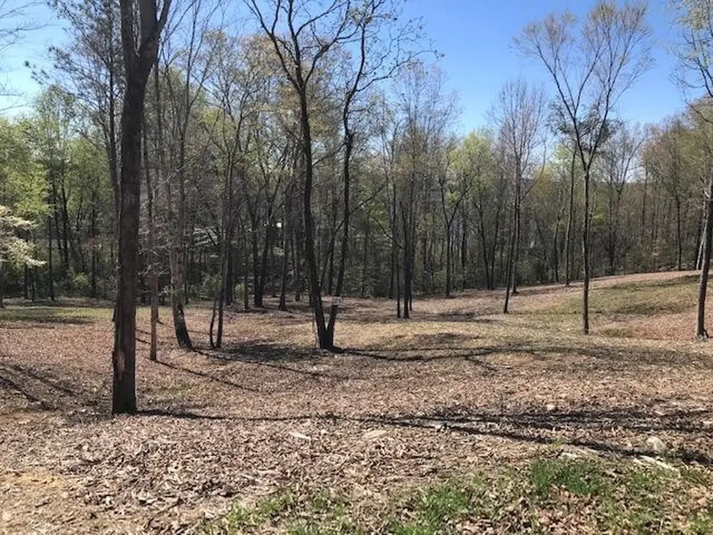 16 Piney View Drive Spring City TN 37381