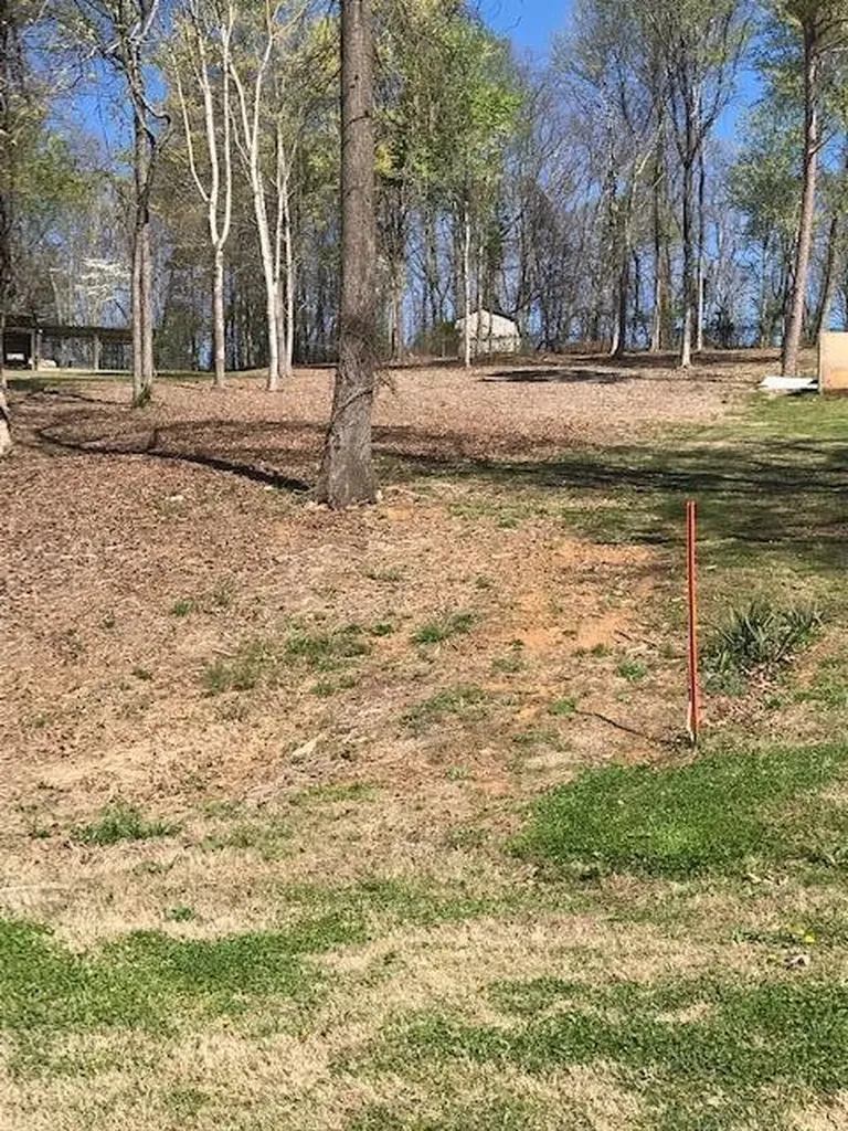 6 Piney View Drive Spring City TN 37381