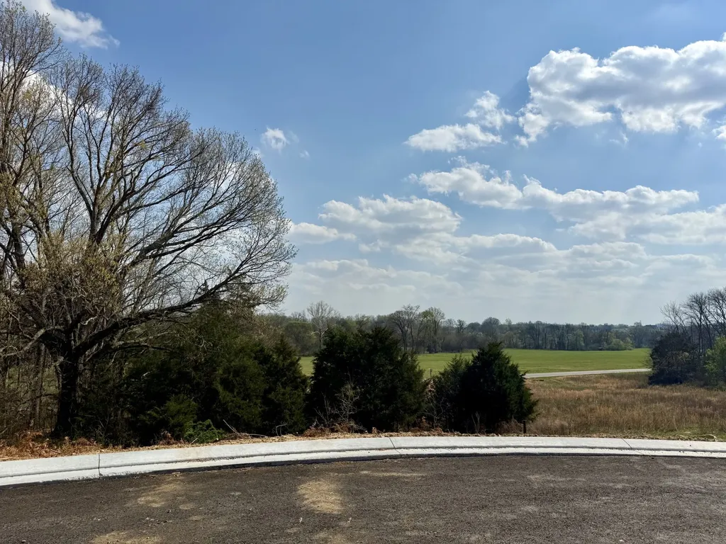 527 Divine Court Arrington TN 37014