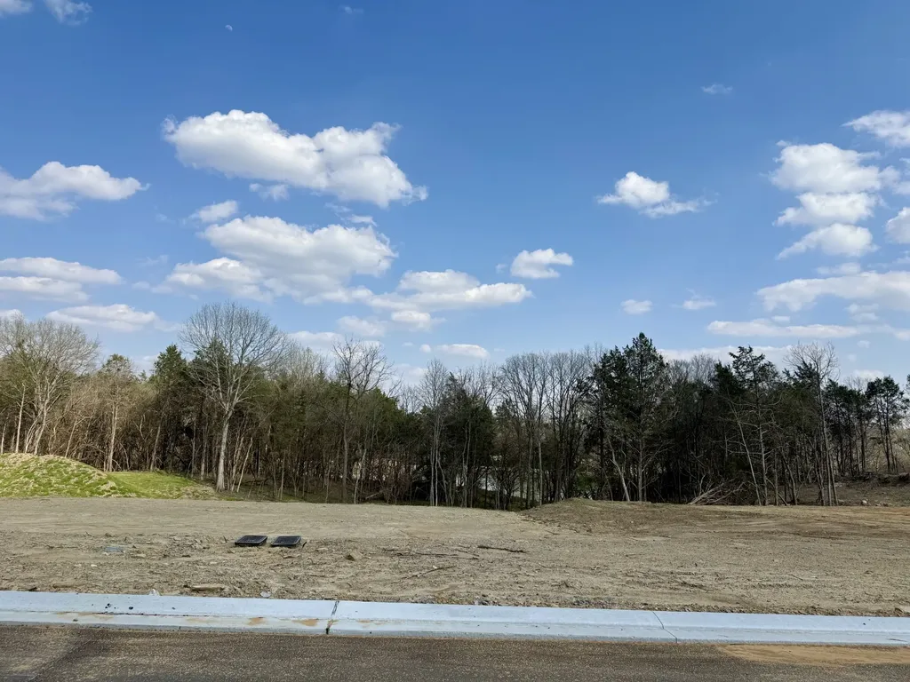 510 St Charles Drive Arrington TN 37014