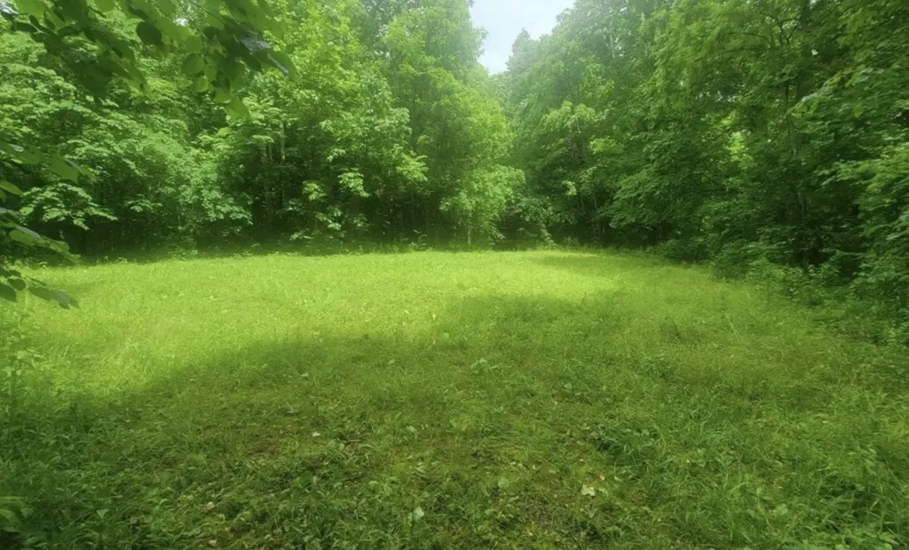 0 Wilderness Lane Lafayette TN 37083