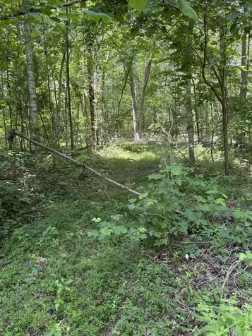 0 Wilderness Lane Lafayette TN 37083