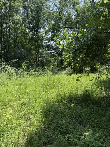 0 Wilderness Lane Lafayette TN 37083