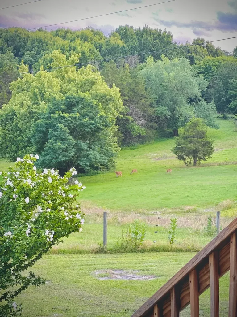 2770 Beech Log Road Watertown TN 37184