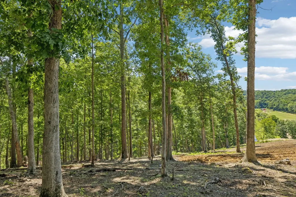0 Axis Ridge Joelton TN 37080