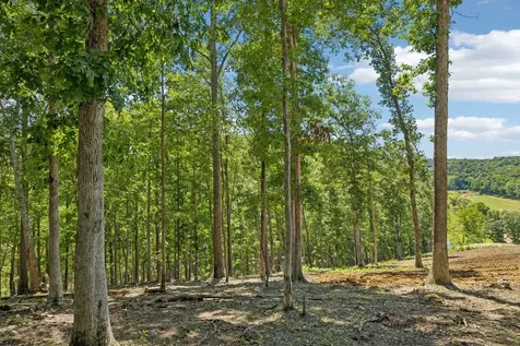 0 Axis Ridge Joelton TN 37080