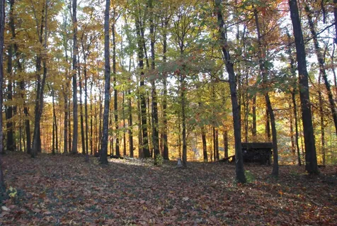 2544 Barwood Drive Greenbrier TN 37073
