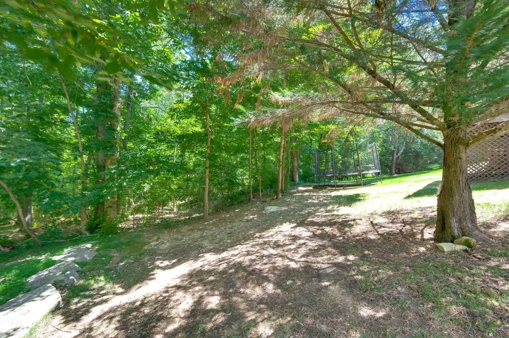 9716 Mountain Ash Court Brentwood TN 37027