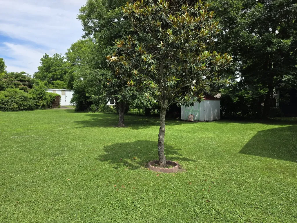 206 N Eddie Street Tullahoma TN 37388