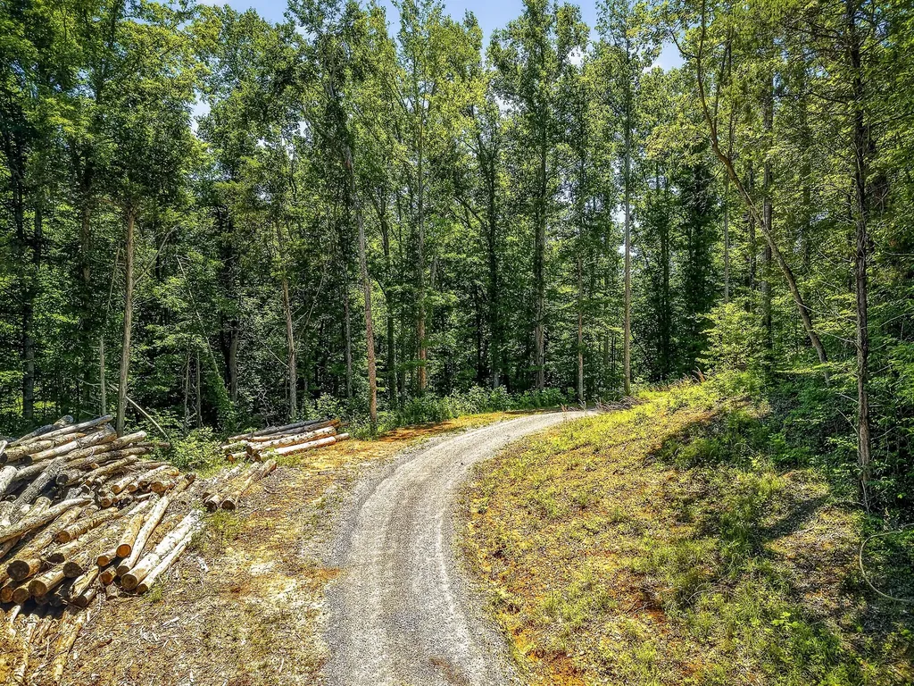 359 Allen Sells Lane Alpine TN 38543