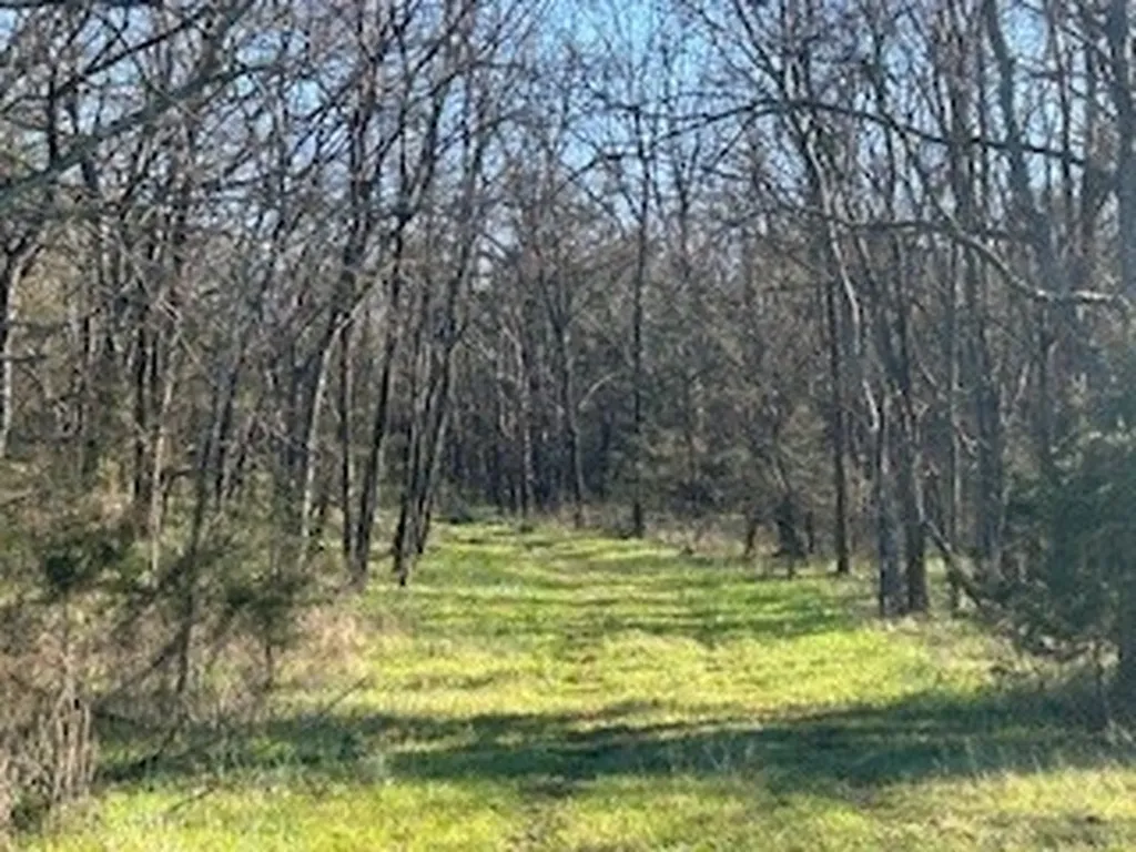 14907 Cainsville Road Lebanon TN 37090