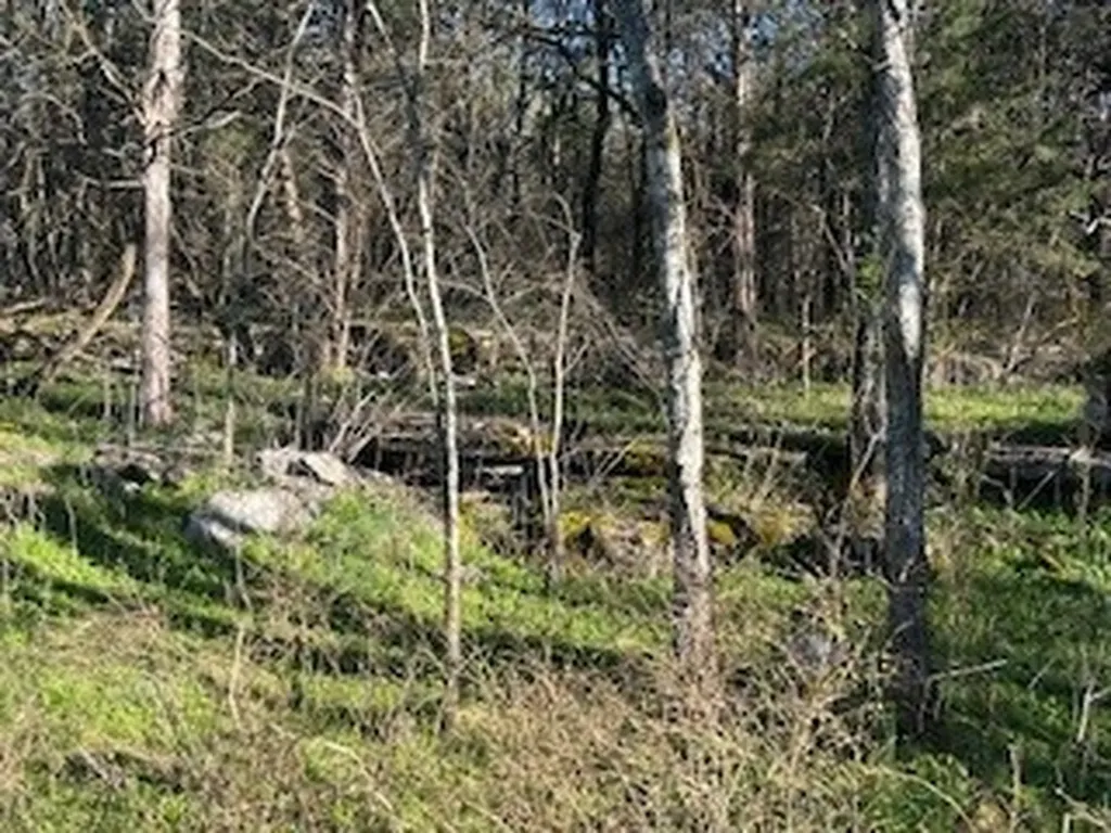 14907 Cainsville Road Lebanon TN 37090