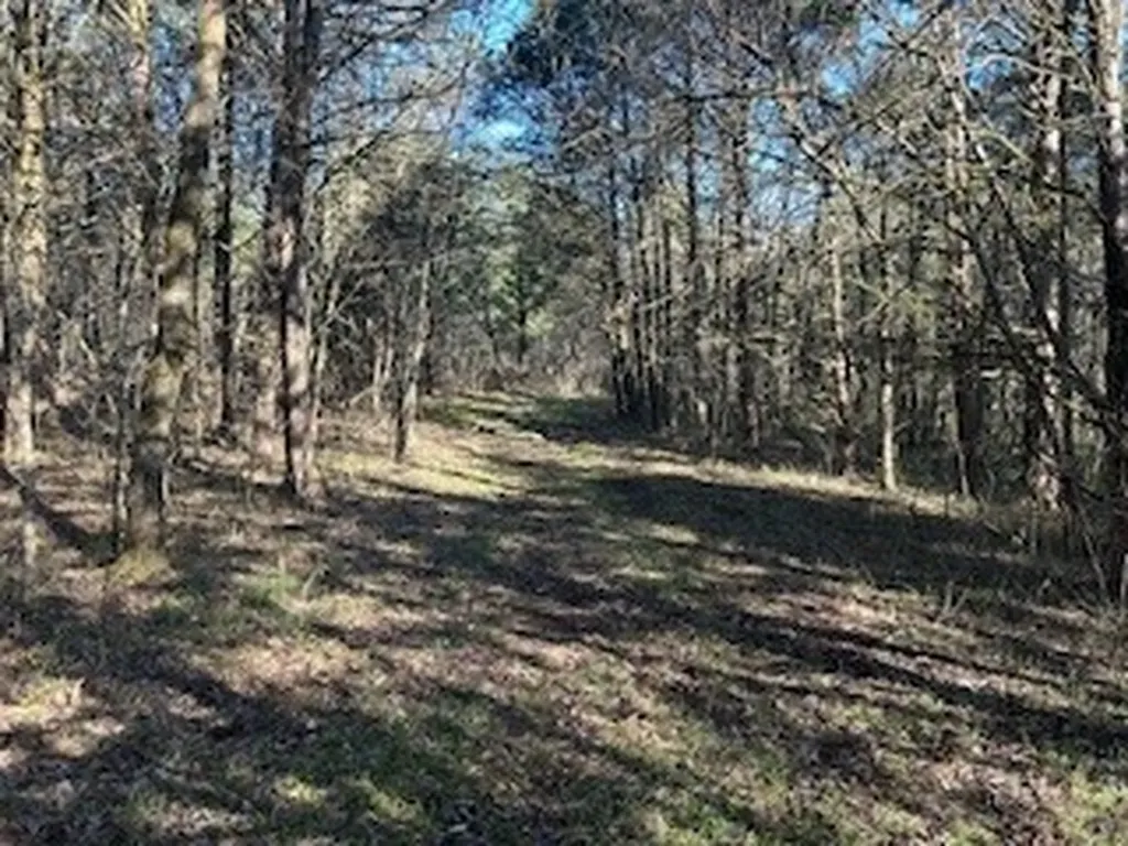 14907 Cainsville Road Lebanon TN 37090