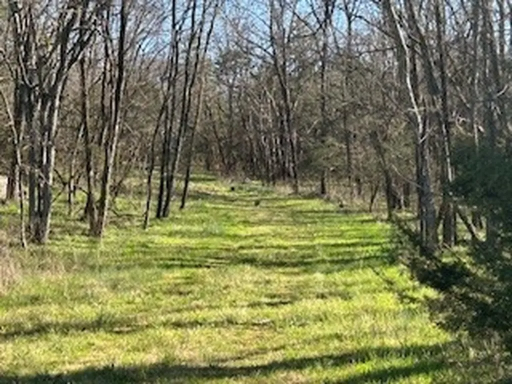 14907 Cainsville Road Lebanon TN 37090